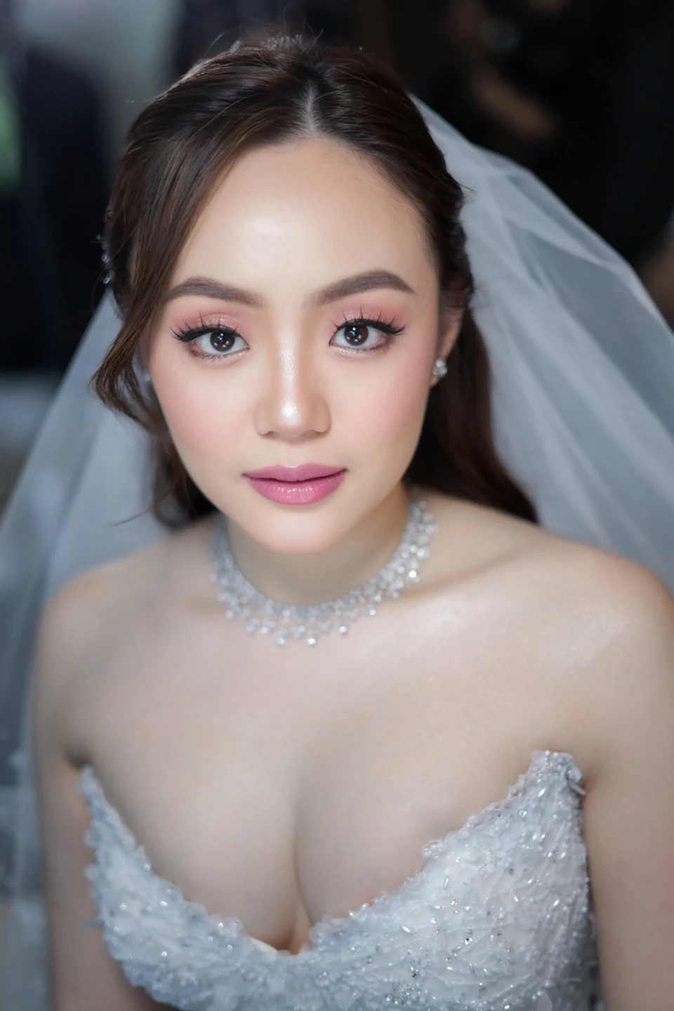 Bride wearing a veil, a sparkling necklace and an embellished white gown, with rosy makeup and swept-back hair